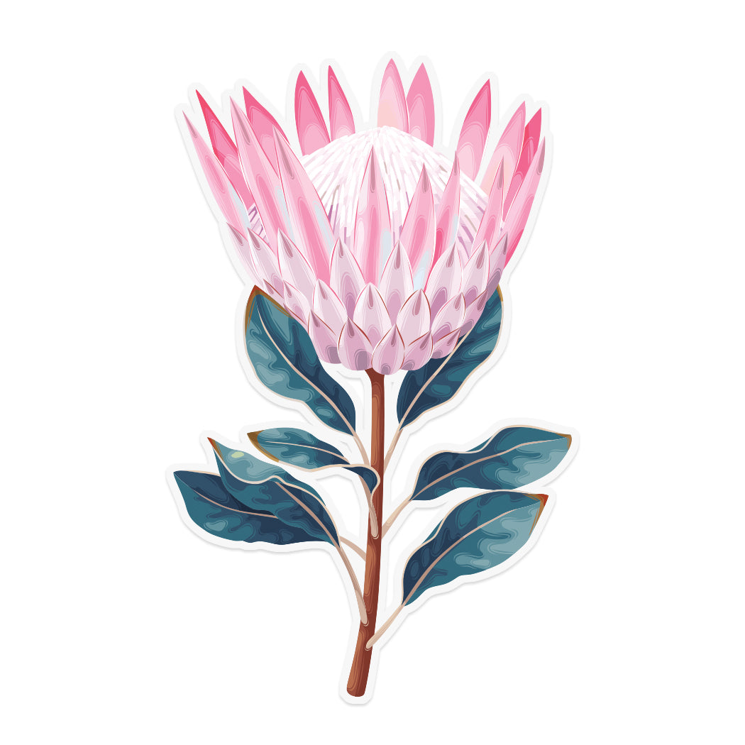 King Protea Sticker